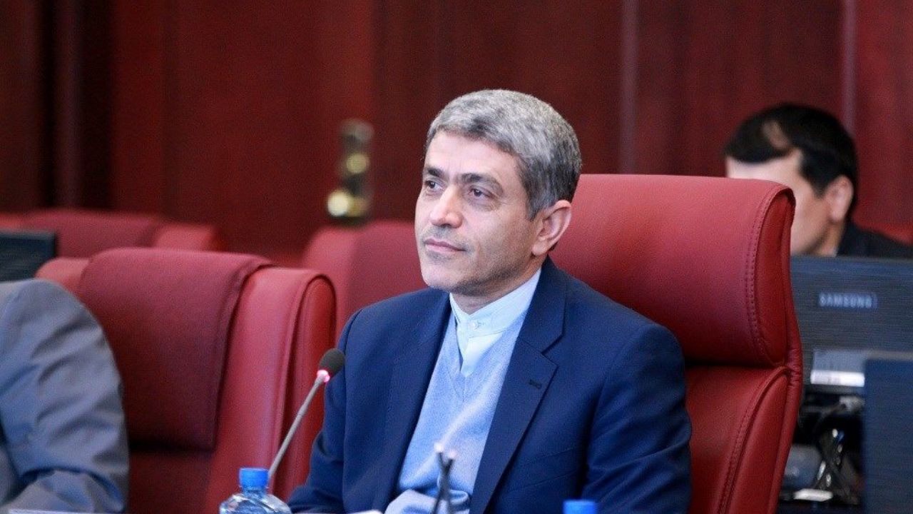 طیب‌نیا هیچ پیشنهادی برای همکاری از سوی دولت نداشته است