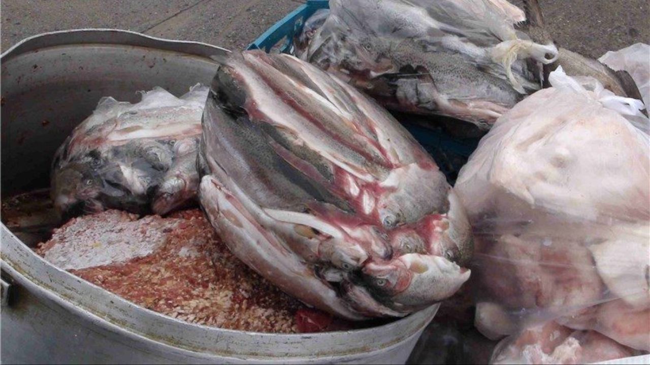 قطع برق چه بر سر بازار کرمانشاه می‌آورد؟