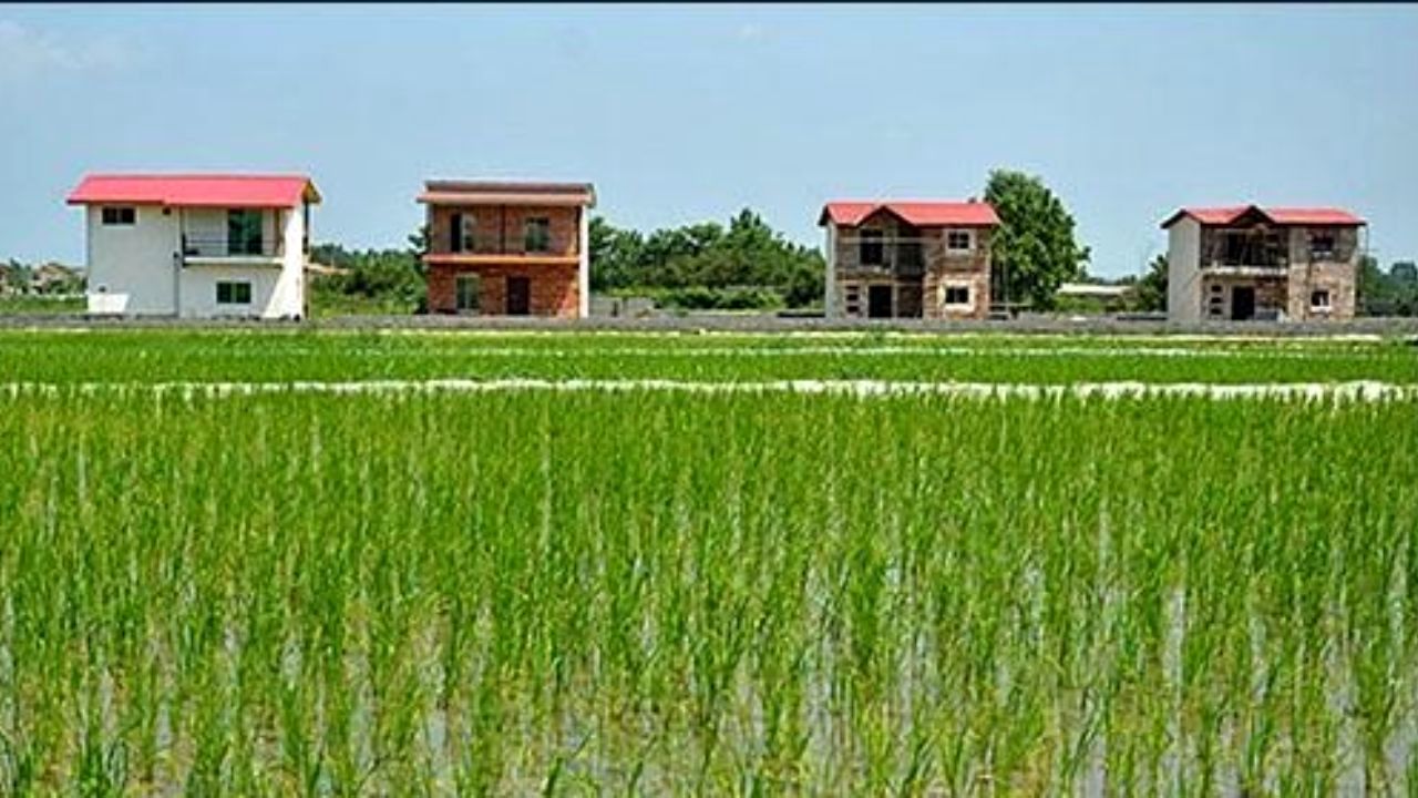 جلوگیری از تغییر کاربری حدود 7 هزار مترمربع زمین کشاورزی