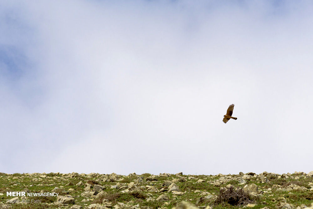 مناظر زیبای ماسال