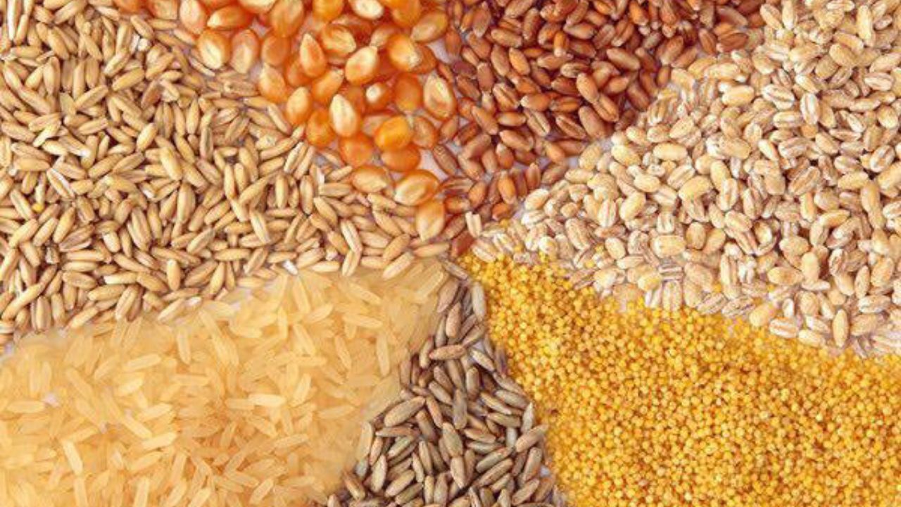 خام فروشی نهاده های دامی و هدررفت عظیم منابع
