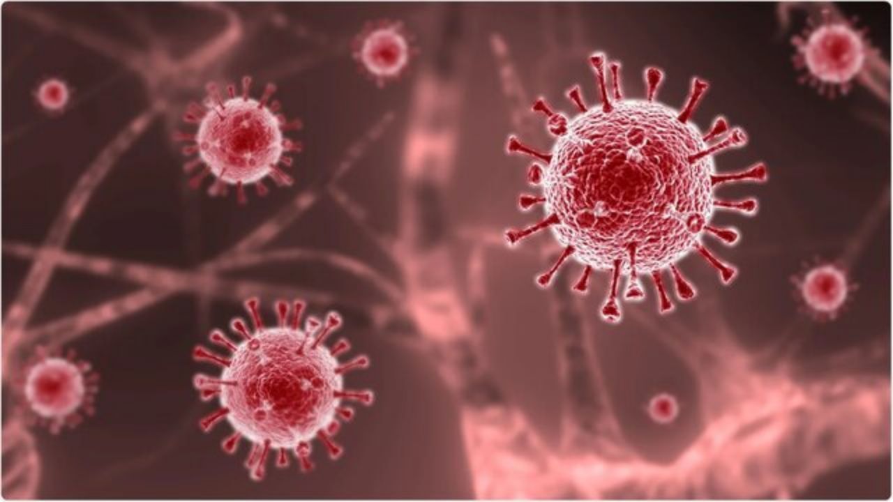 777 بیمار مبتلا به کرونا در بیمارستان‌های استان بستری هستند که حال 110 نفر از آنها وخیم است