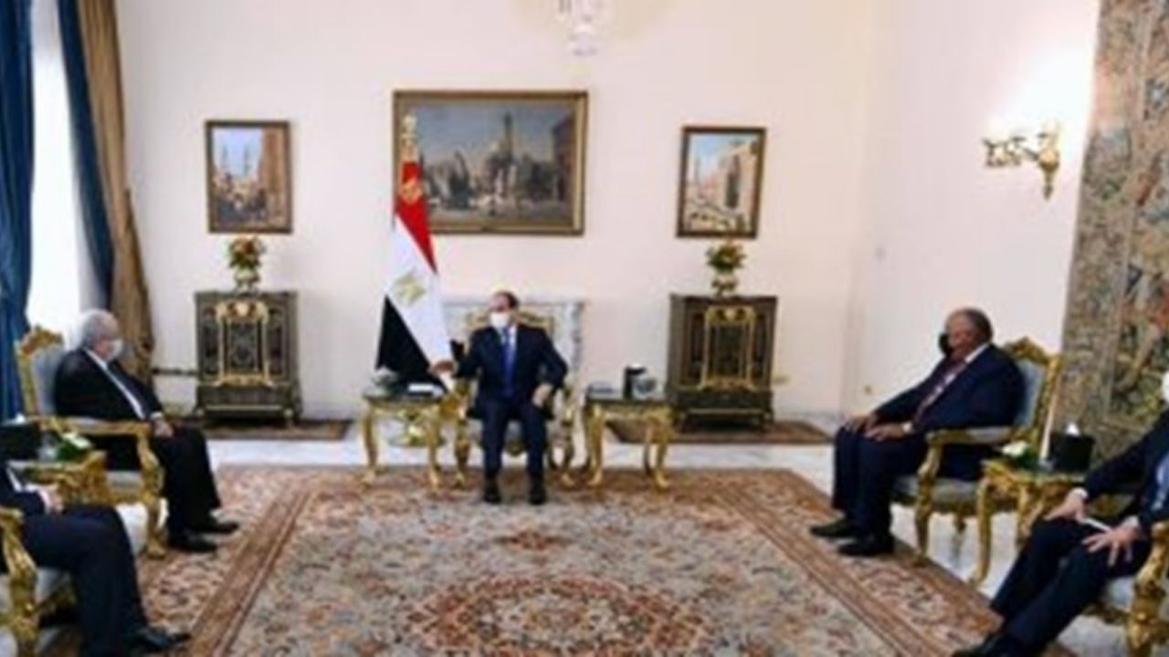 توافق مصر و الجزائر برای حمایت از رئیس جمهور تونس