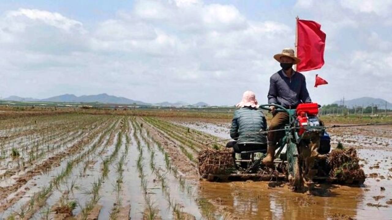 سئول: پیونگ یانگ ناگزیر به عرضه ذخایر ارتش شده است