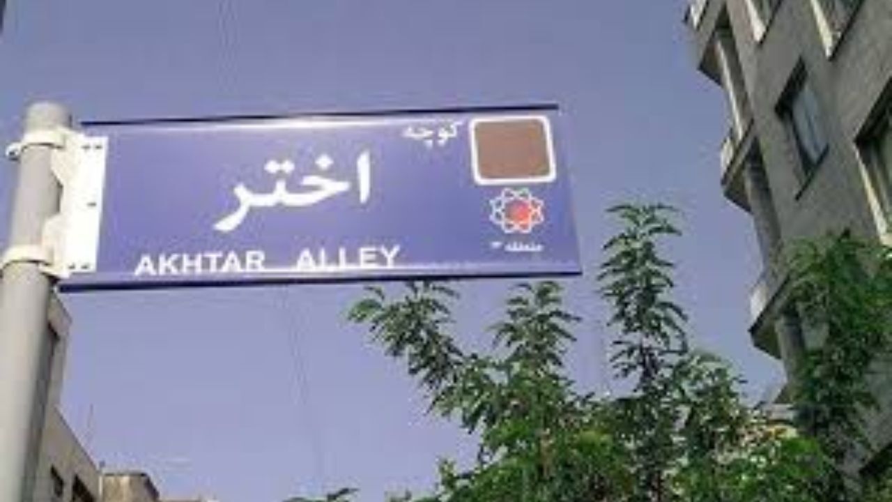 نقاشی زهرا رهنورد برای زنان افغانستانی