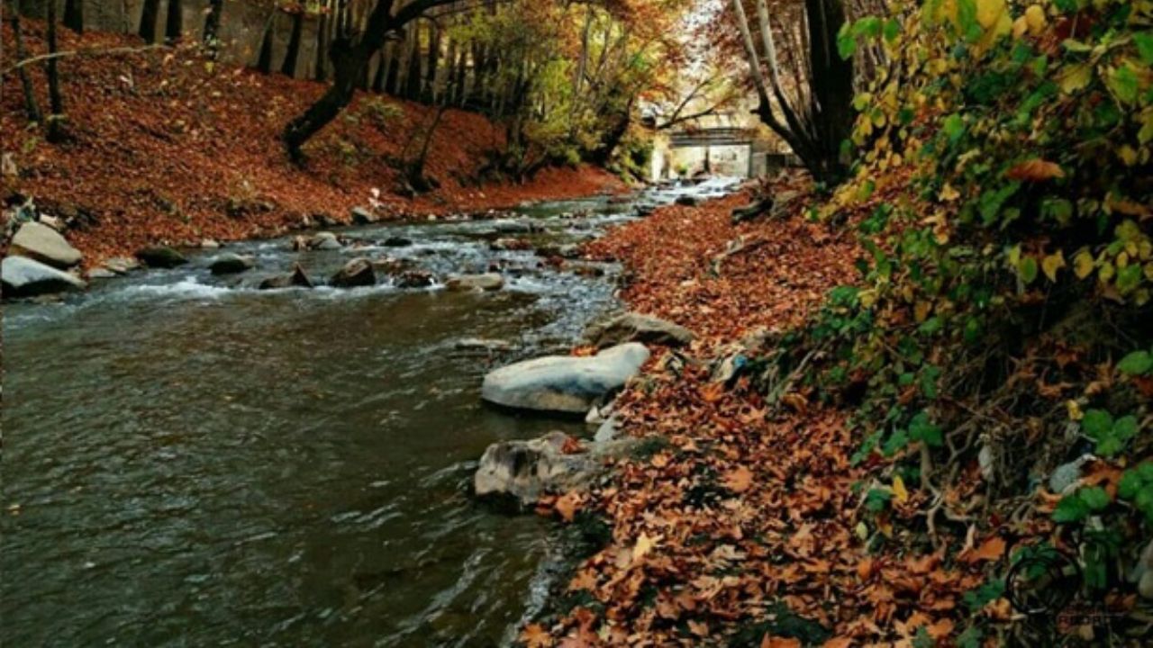 برای آب‌تنی و شنا چقدر باید از تهران دور شد؟