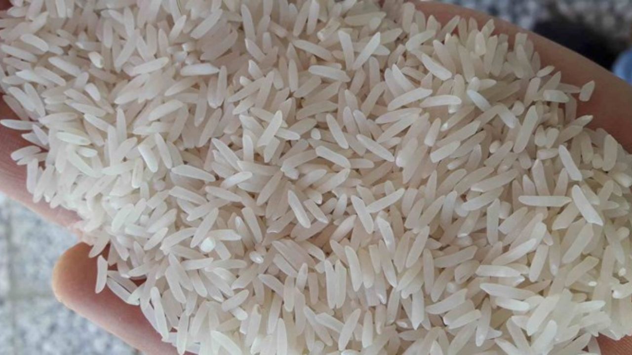قیمت برنج قد کشید