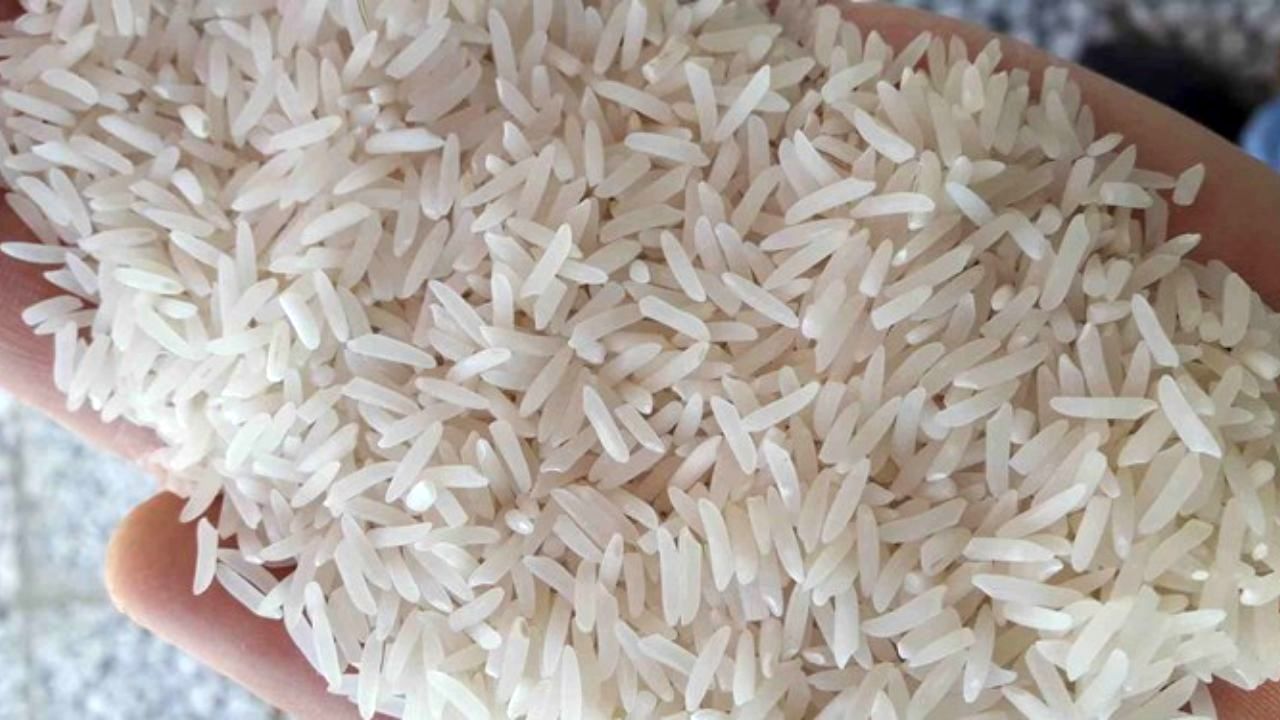 قیمت برنج قد کشید