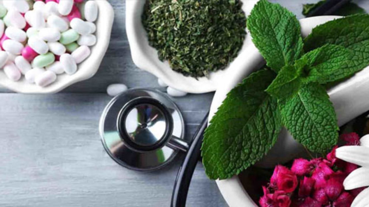 باور اشتباه در خصوص مصرف داروهای گیاهی باید در جامعه اصلاح شود