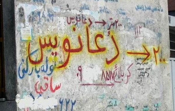 ضربه‌ای که دعانویسان به حیات‌وحش می‌زنند؛ فروش قاچاقی اندام جنسی حیوانات برای تحکیم روابط زناشویی