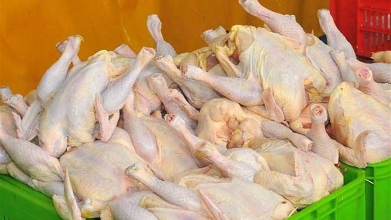 مرغ‌های کوچک‌ سالم‌تر و کم هزینه‌تر هستند
