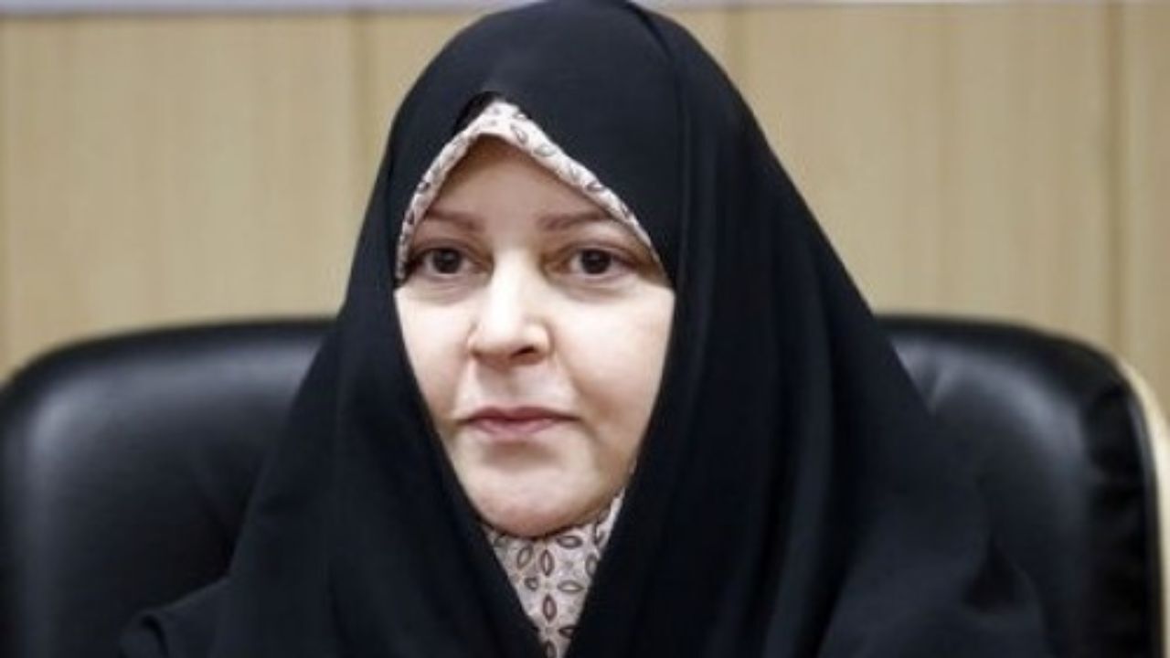 فروش اقساطی سازمان‌های دولتی راهکار حفظ بخش خصوصی است