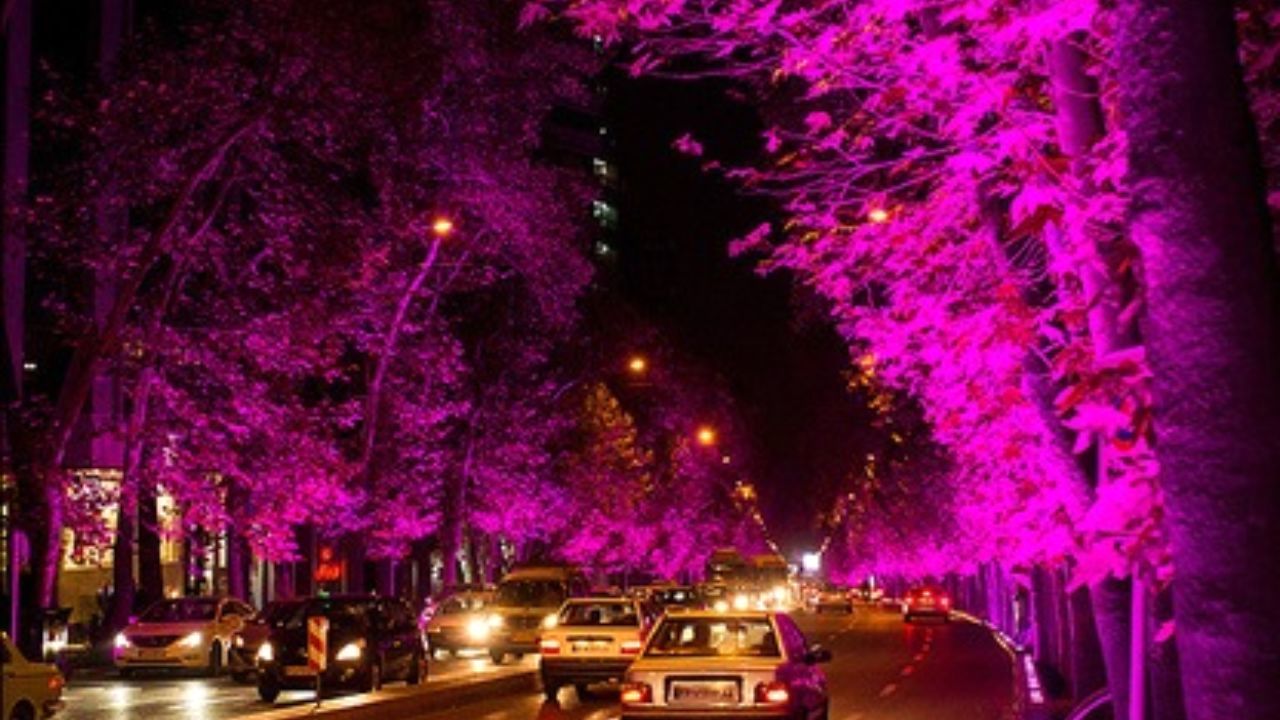 نورپردازی درختان را متوقف کردیم
