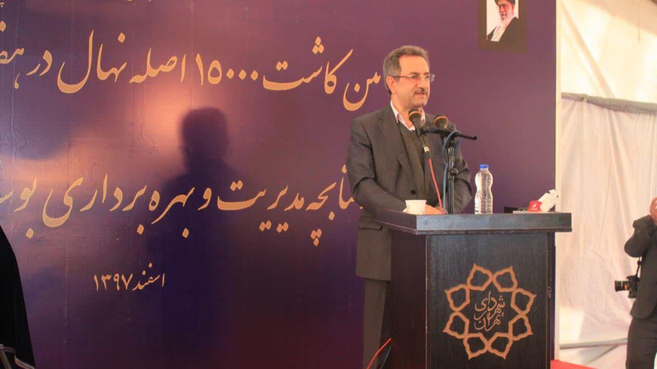 افزایش زیست پذیری محیط شهری با کاشت درخت امکان پذیر است
