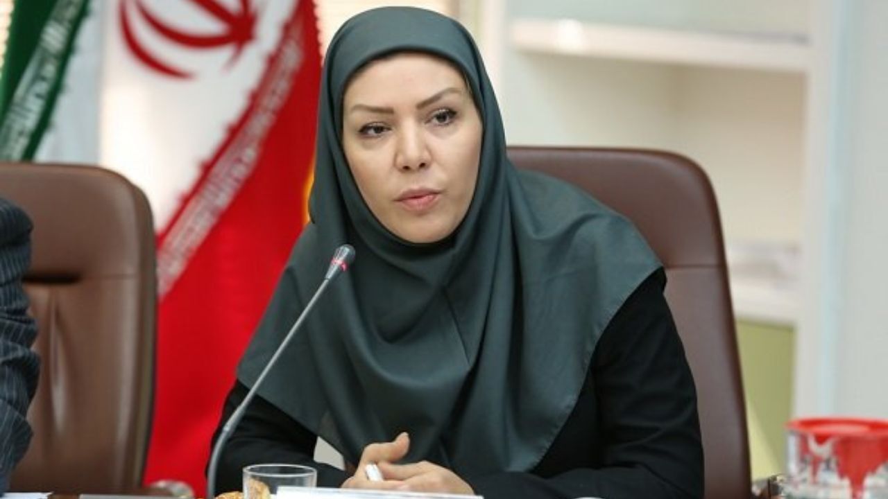 تحریم، تاثیر منفی بر عملکرد صندوق ضمانت صادرات نداشت