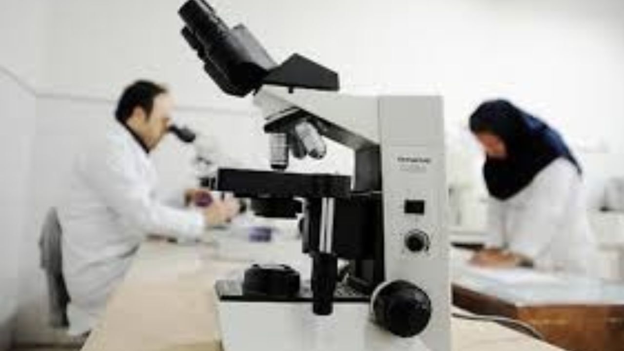 ارائه خدمات شبکه آزمایشگاه‌های کشور در ایام نوروز