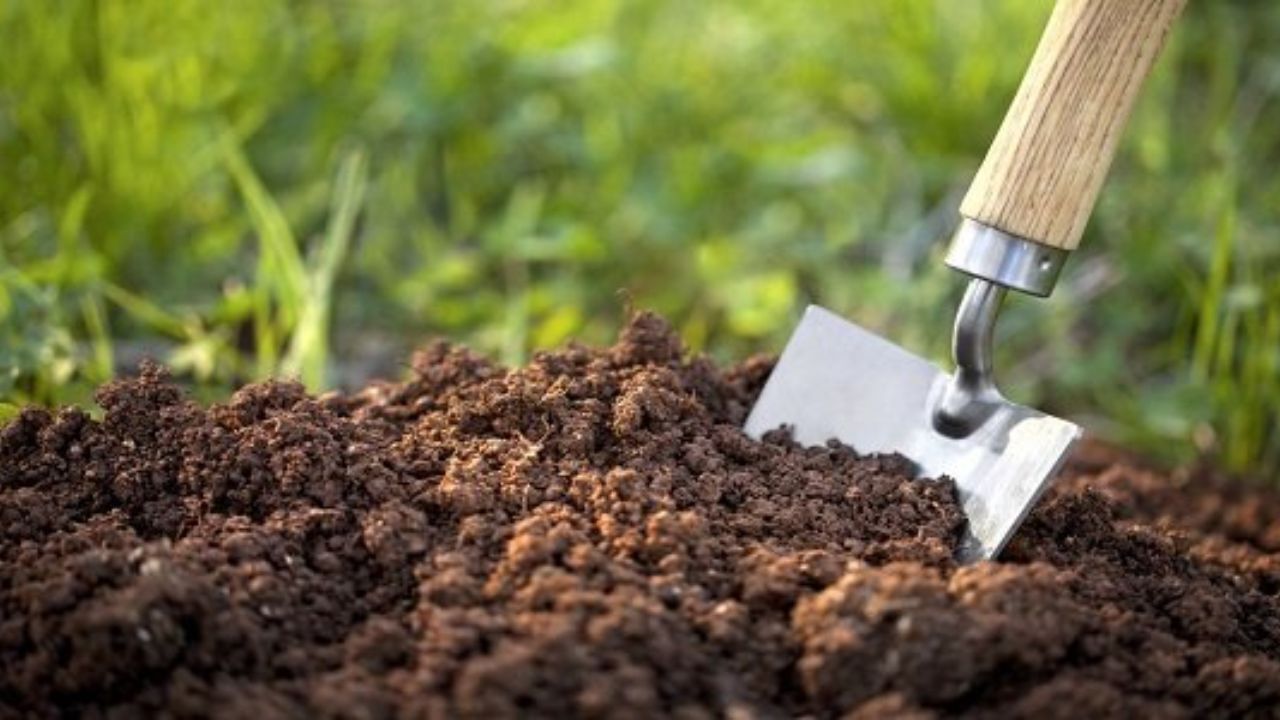 اجرای طرحی برای افزایش سهم کود زیستی در کشاورزی