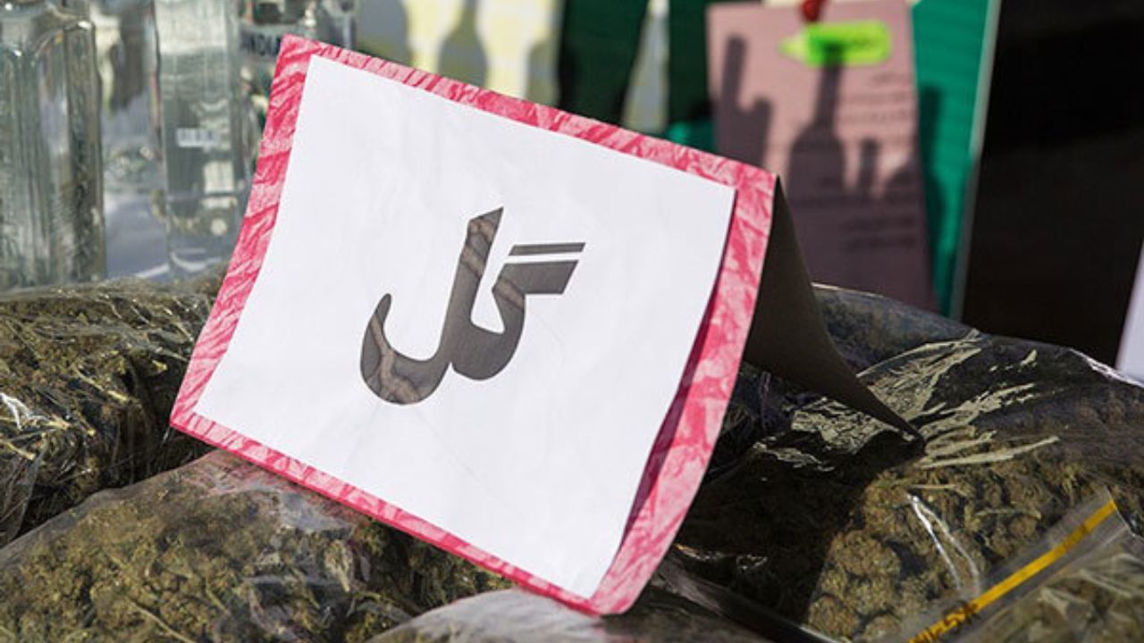 هشدار درباره افزایش مصرف گل در پایتخت / 90 خانه پلاک قرمز همچنان پلمپ هستند/ کشف 2600 کیلوگرم انواع مواد مخدر از ابتدای سال جاری در پایتخت