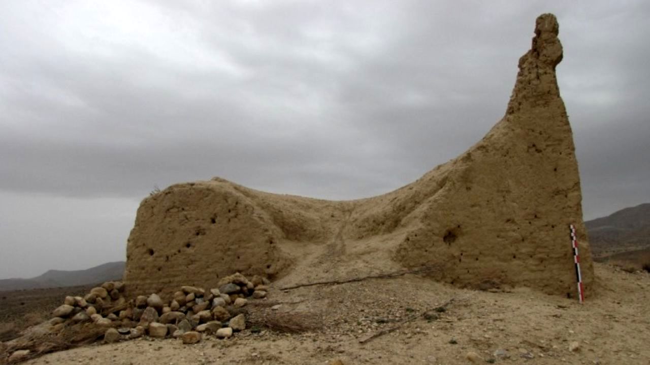 کشف آثار 40 هزار ساله از دل نی‌ریز