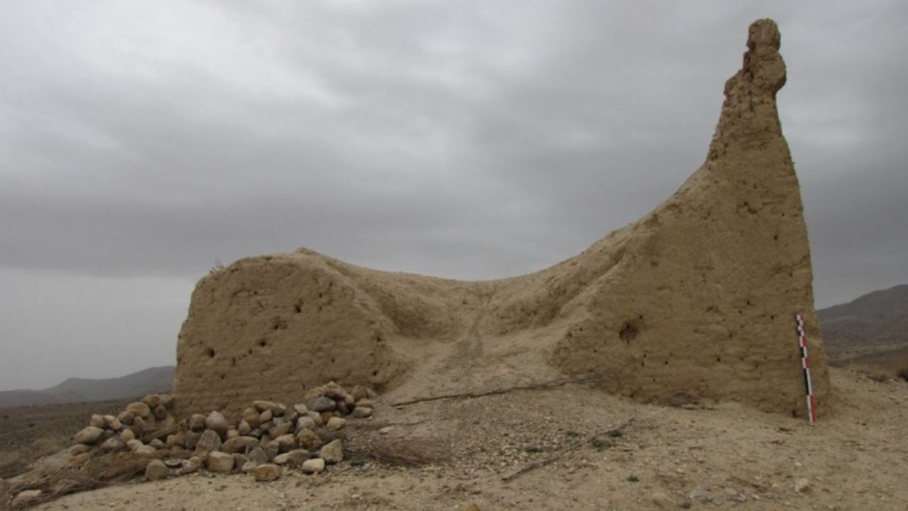 کشف آثار 40 هزار ساله از دل نی‌ریز