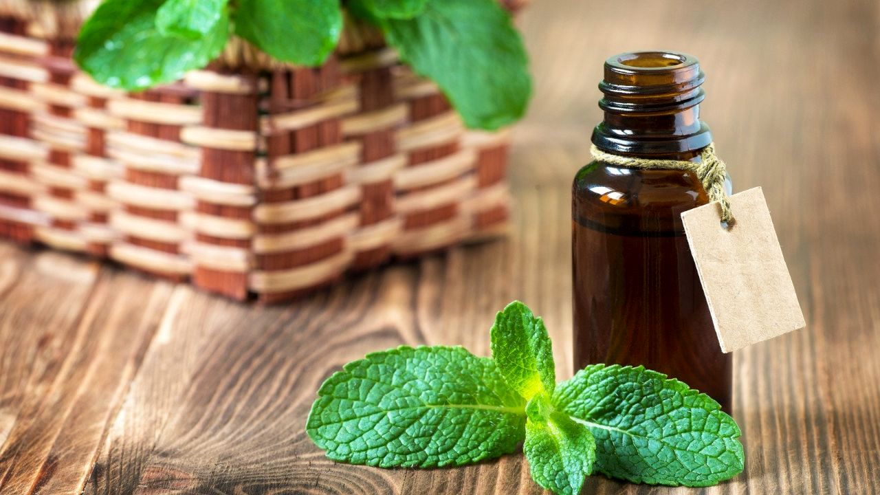 عصاره نعناع؛ درمانی موثر برای افراد دارای مشکل بلع