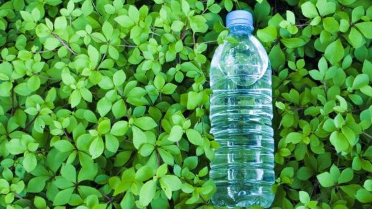 استفاده از قندهای گیاهی برای تولید پلاستیک