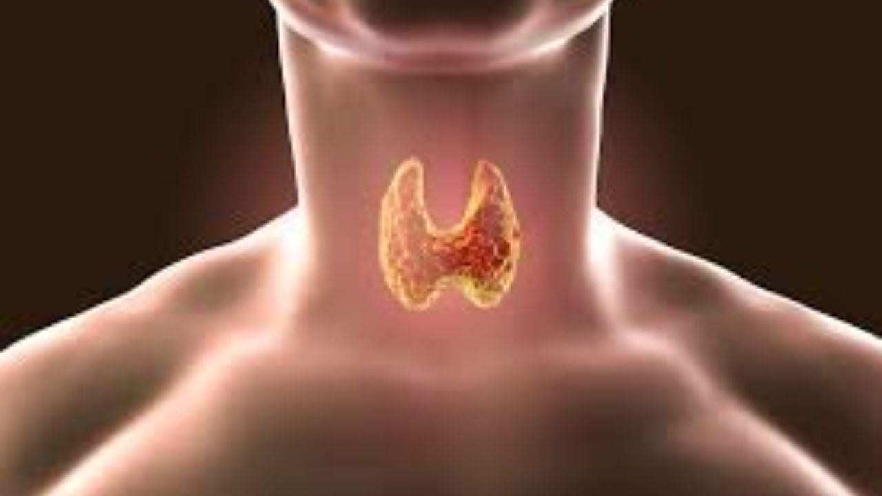 غده تیروئید چه نقشی در سلامت بدن دارد؟