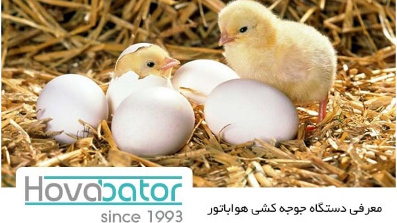 معرفی دستگاه جوجه کشی هواباتور