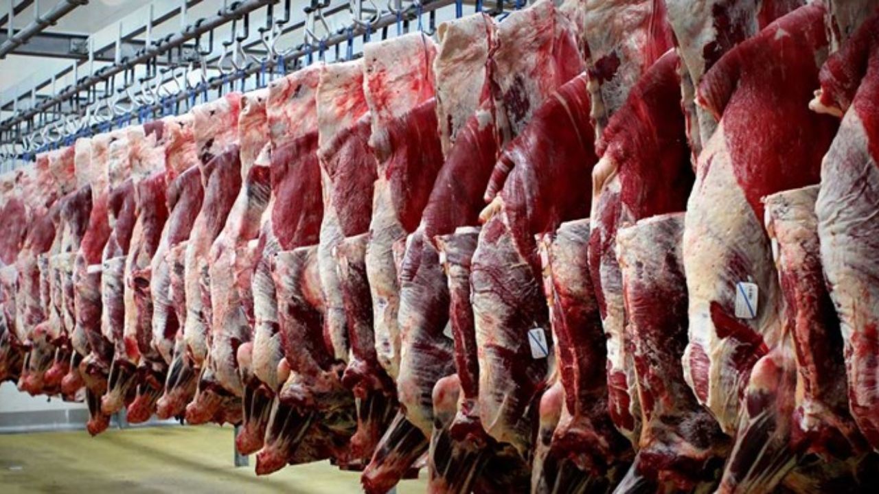 شکل ذبح گوشت‌های وارداتی چگونه است؟