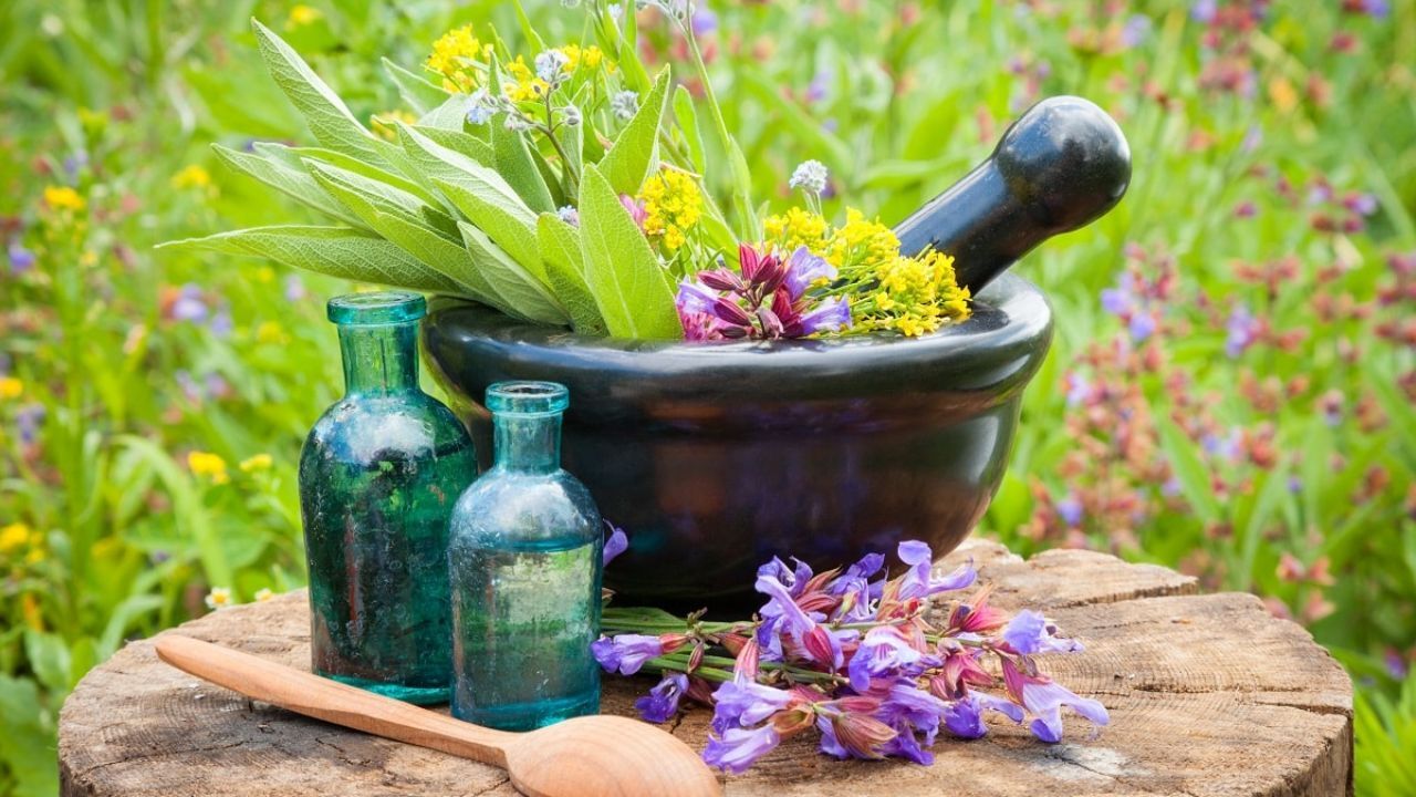 پرداخت وام 7 درصدی برای کشت گیاهان دارویی توسط 3 بانک