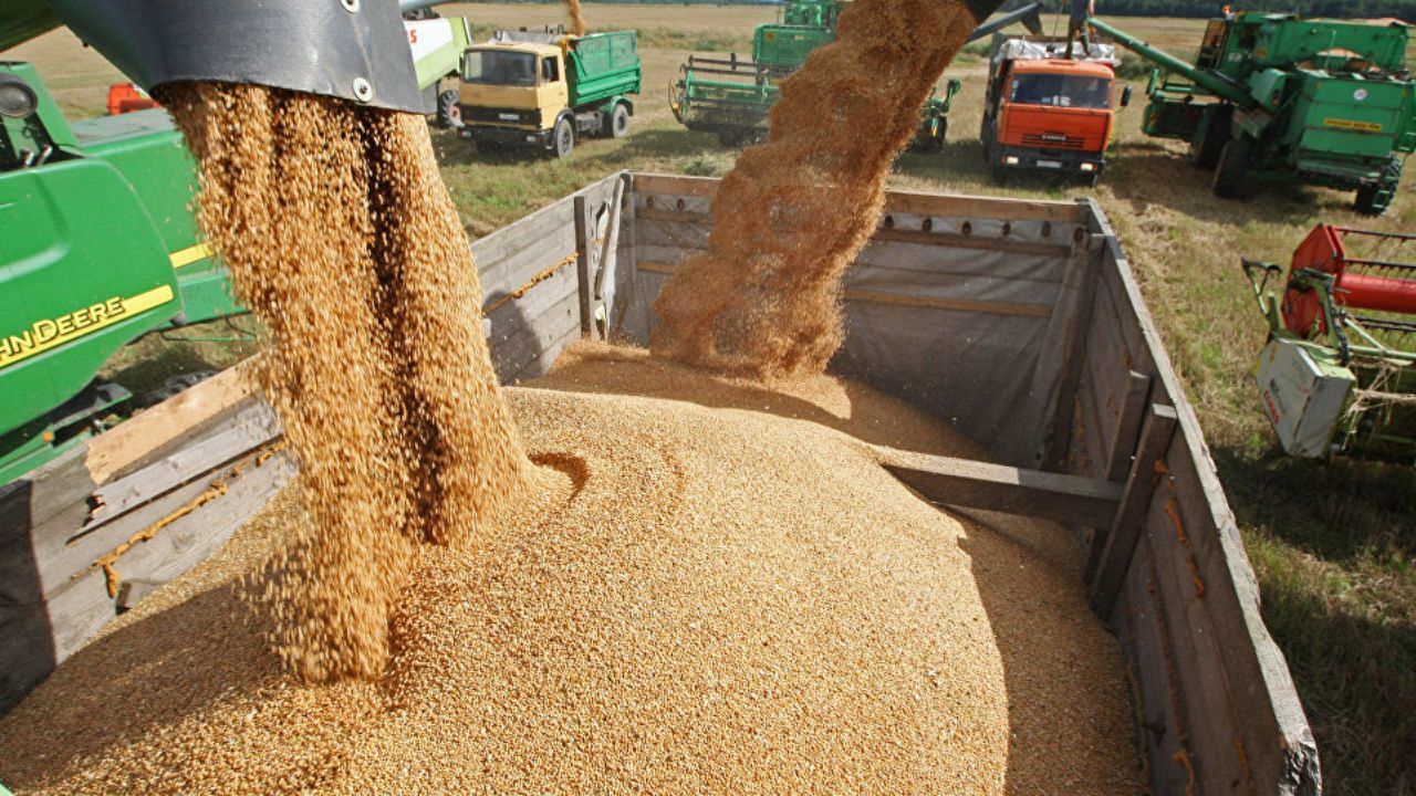 یکپارچه‌سازی کرایه‌های حمل در کارگروه‌های خرید تضمینی گندم استان‌ها/ کشاورزان، کامیون‌داران متخلف را به تعزیرات معرفی کنند