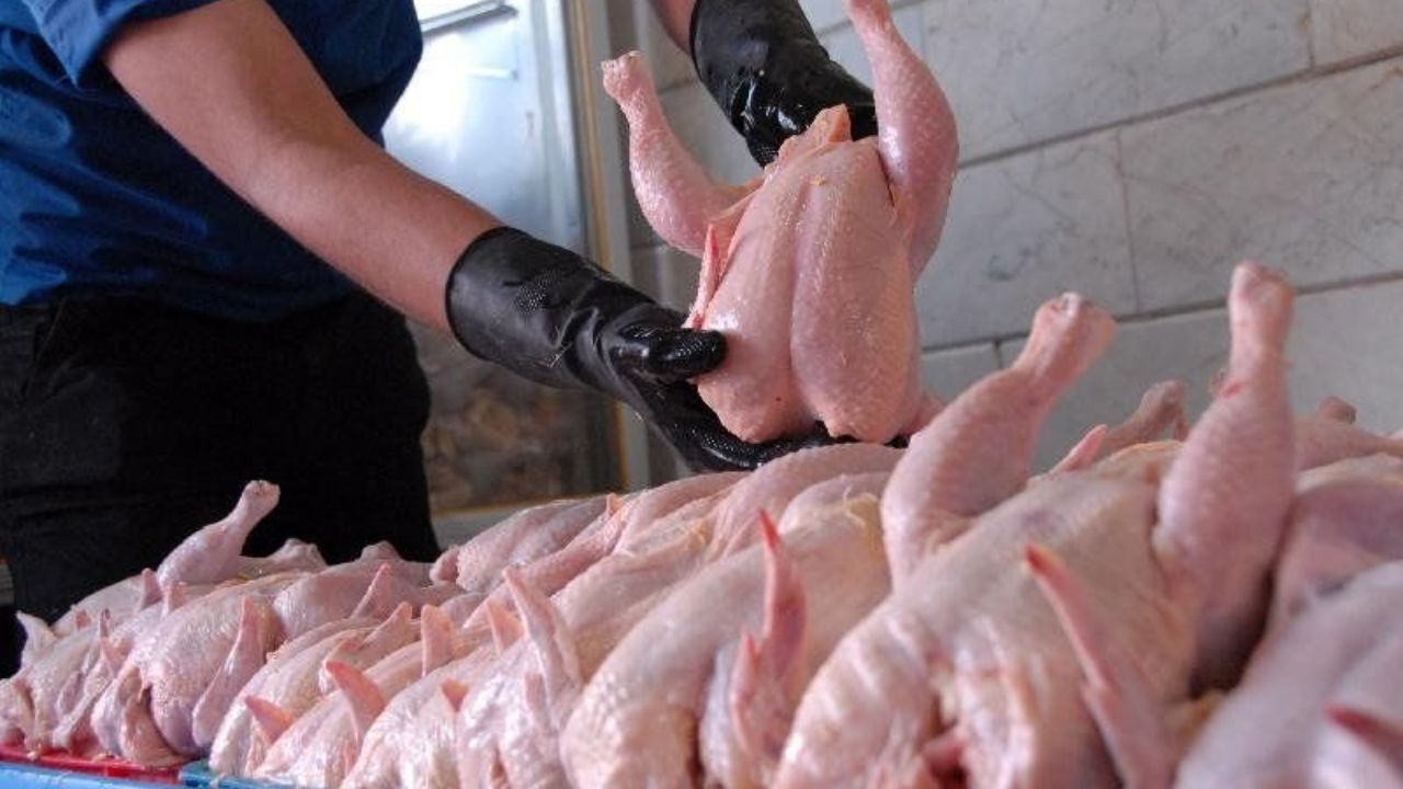 ثبات نرخ مرغ در بازار/ تاخیر در اعلام نرخ مصوب مرغداران را سردرگم کرده است
