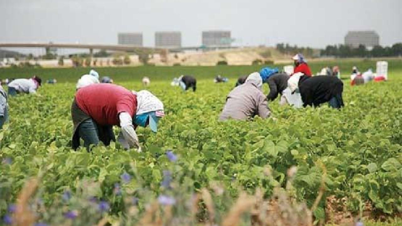 توسعه گردشگری چه تاثیری بر حیات روستاهای ایران دارد؟/ ویلاسازی در روستا توسعه گردشگری نیست