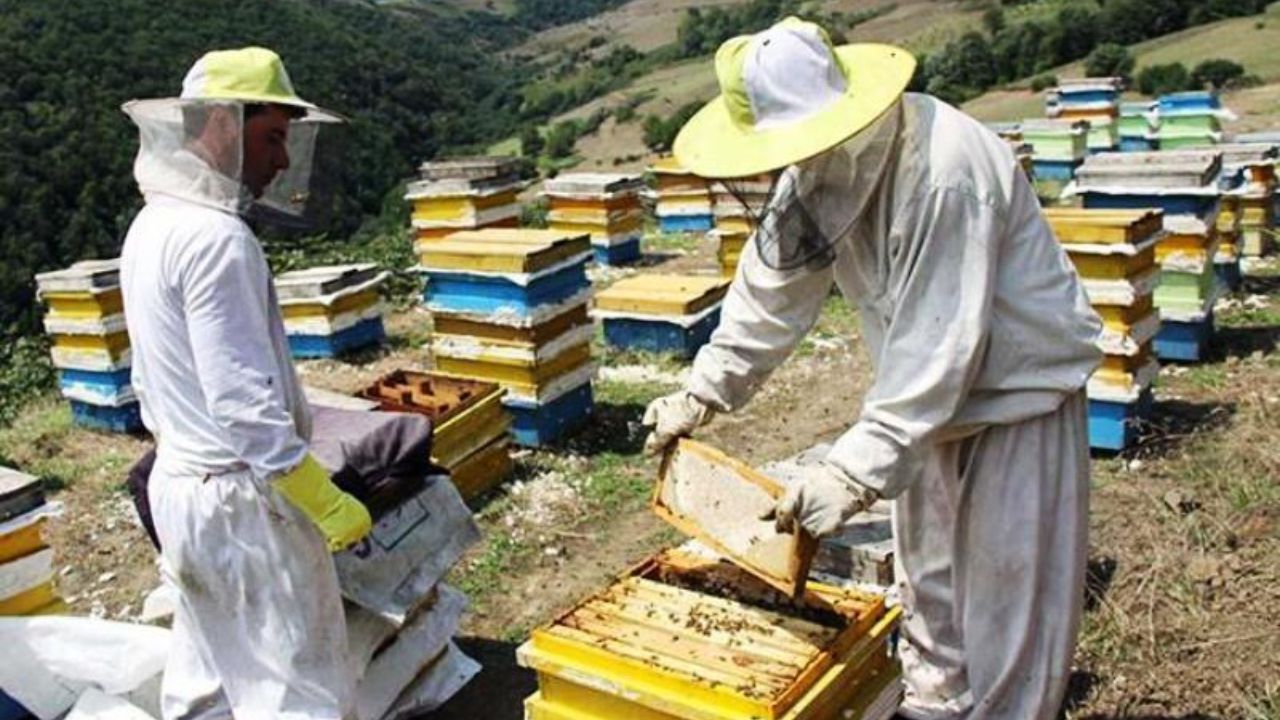 پرداخت 2000 میلیارد تومان تسهیلات اشتغال روستایی