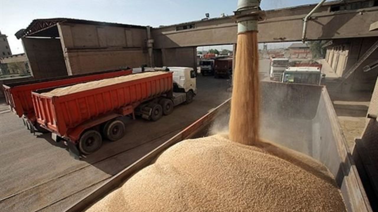 تیر دلالان گندم به سنگ خورد/ طباطبایی: گندم‌های مازاد بر نیاز کشاورزان خریداری می‌شود/ احمدخانی: گندم‌های انبارشده ضرری به خودکفایی نمی‌رساند