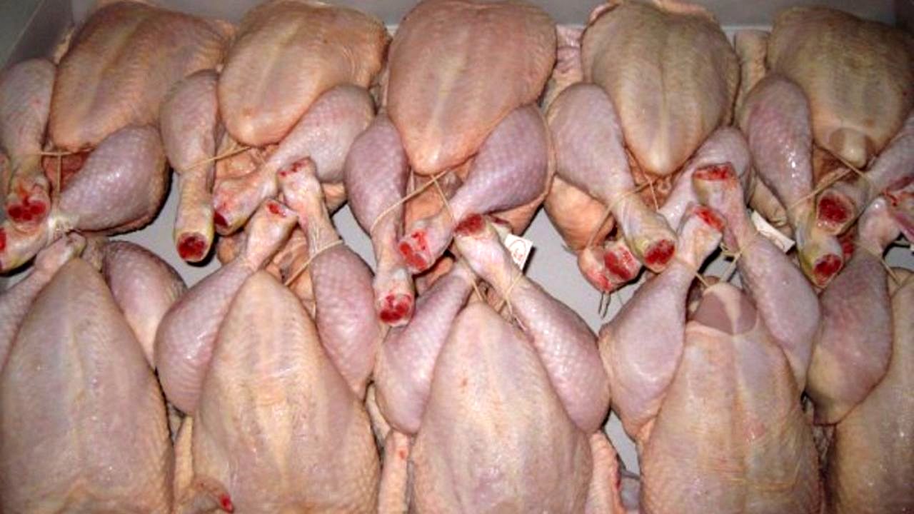 قیمت مرغ تا نیمه شهریور تغییری نخواهد کرد