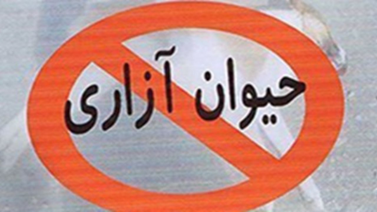 آخرین وضعیت لایحه مقابله با حیوان‌آزاری