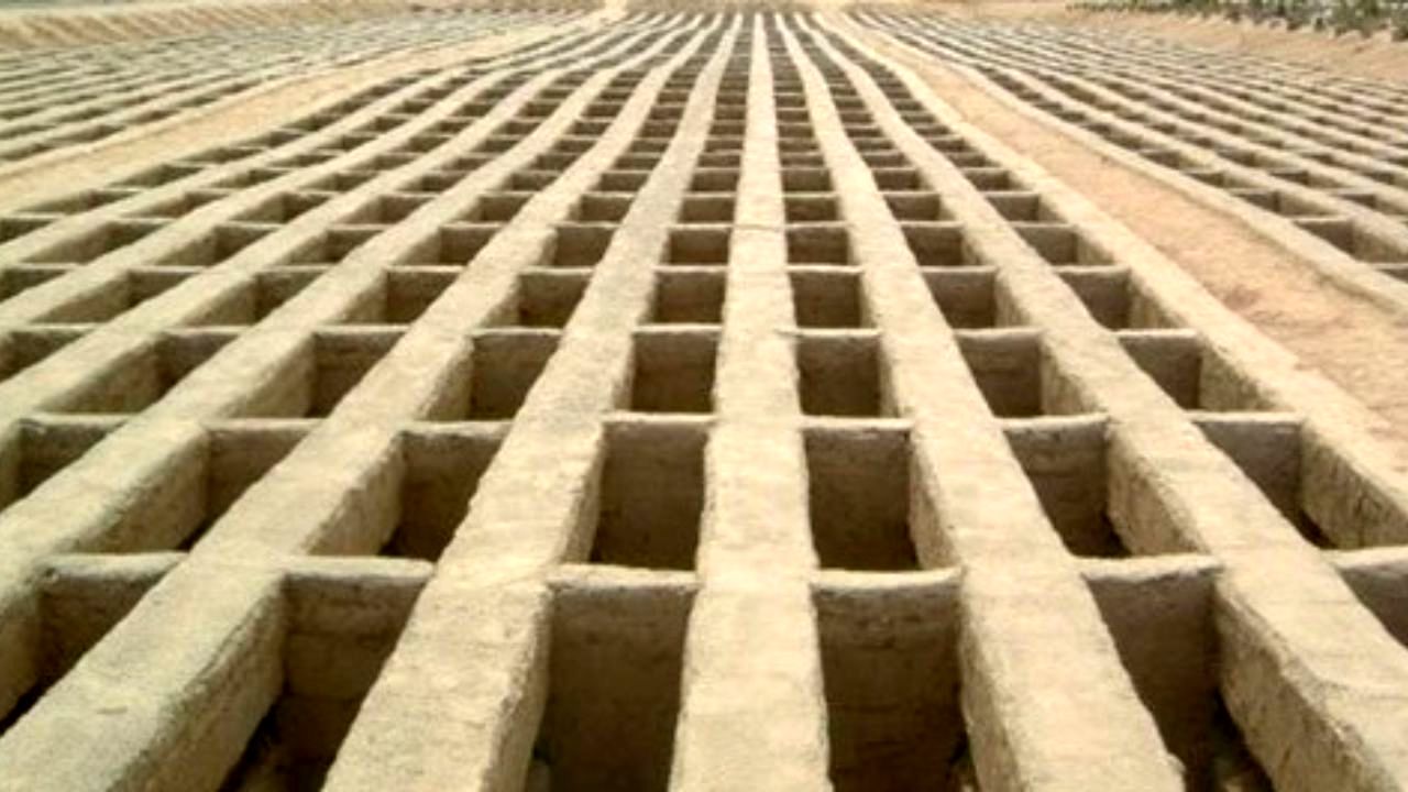 زنده شدن زن روس در مراسم تشییع جنازه‌اش