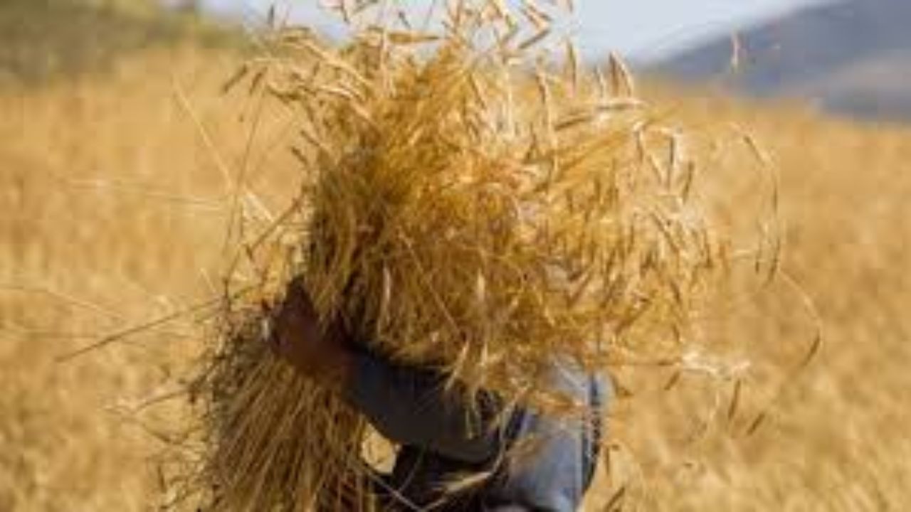 50 میلیارد تومان نقدینگی برای کارگران هپکو در نظر گرفته شد/ 800 هزار نفر از دریافت یارانه نقدی حذف شدند/ مطالبات گندمکاران پرداخت شد