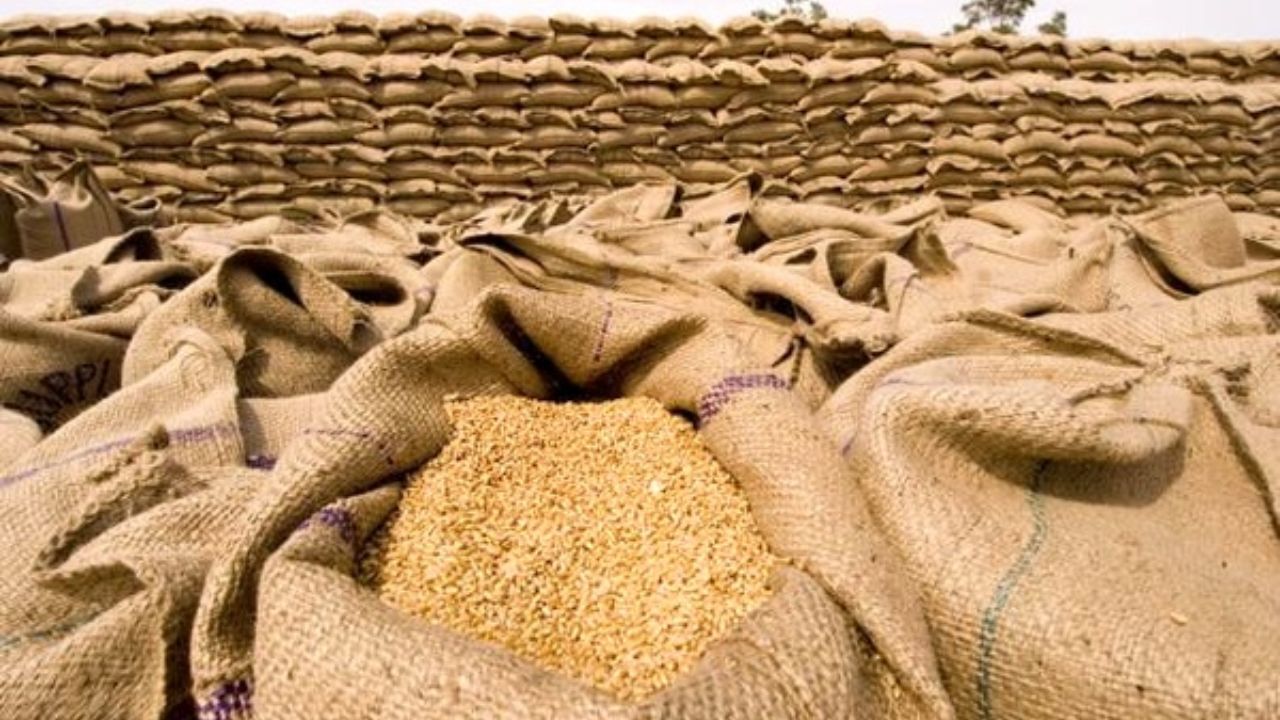 گندم به دلال نفروشید