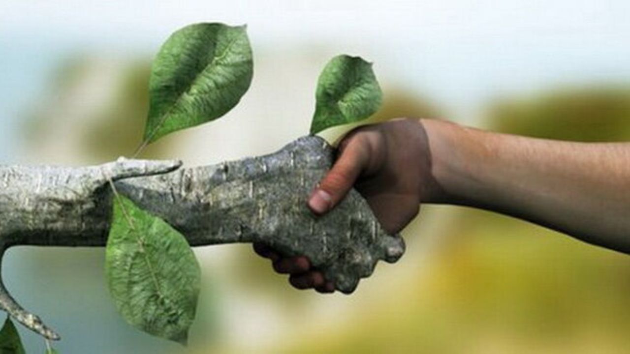 مدیریت اکوسیستم، راهی برای حفظ جنگل‌هاست