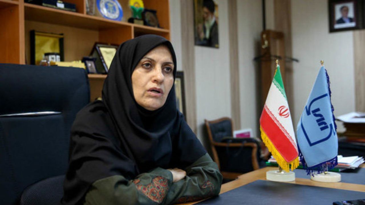 واردات 120 هزار تن ذرت آلوده به کشور نگرانی ندارد