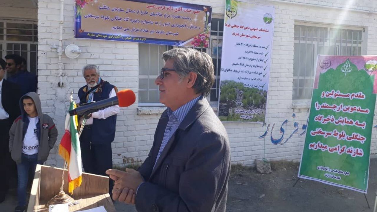815 هزار هکتار جنگل‌کاری در کشور انجام می‌شود