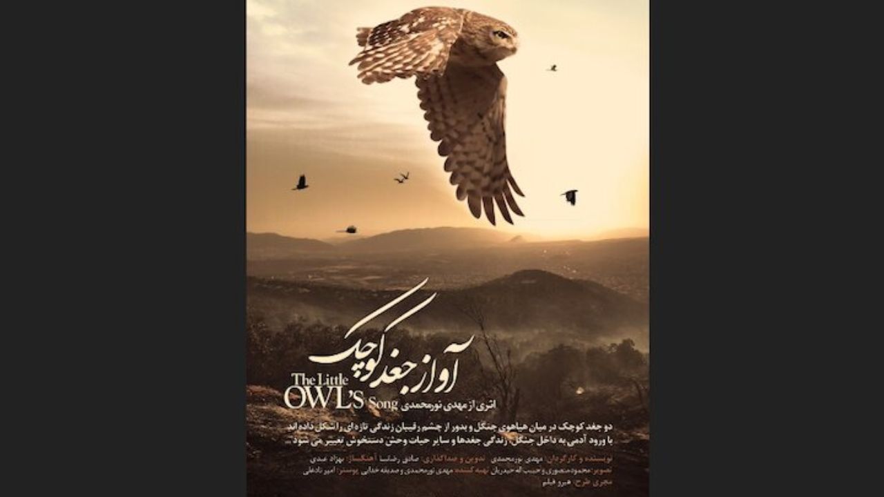 «آواز جغد کوچک» در کانون فیلم خانه سینما نمایش داده می‌شود