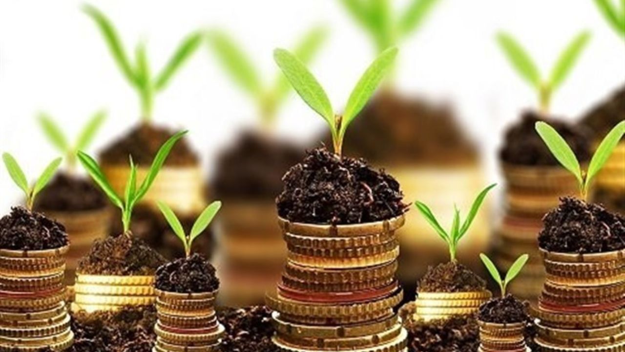 فروش اموال دولت، راهکاری موقتی برای درآمدزایی