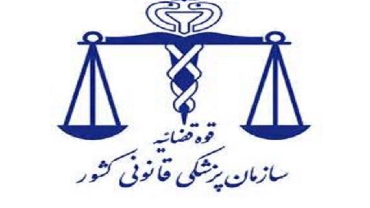 خانواده‌های قربانیان سقوط هواپیما به پزشکی قانونی استان محل سکونت خود مراجعه کنند