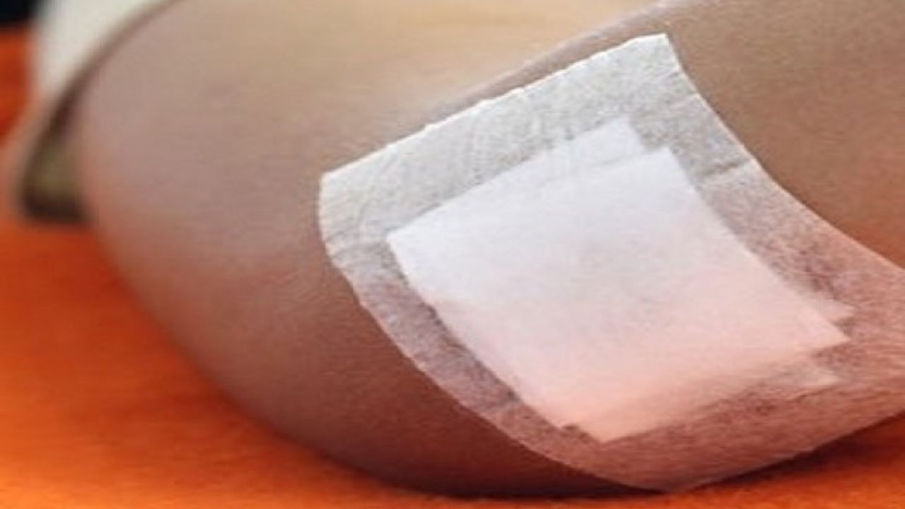 تولید پانسمان ضد باکتری بر پایه آلژینات