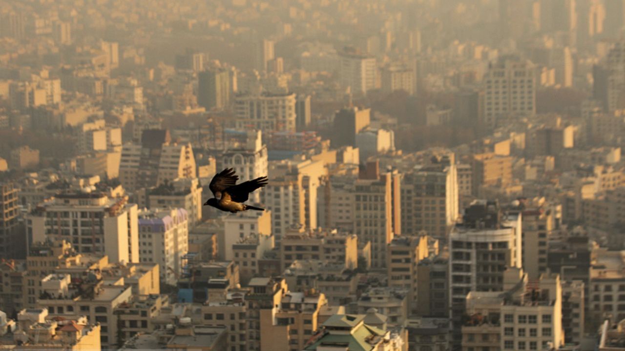 هوای تهران آلوده است