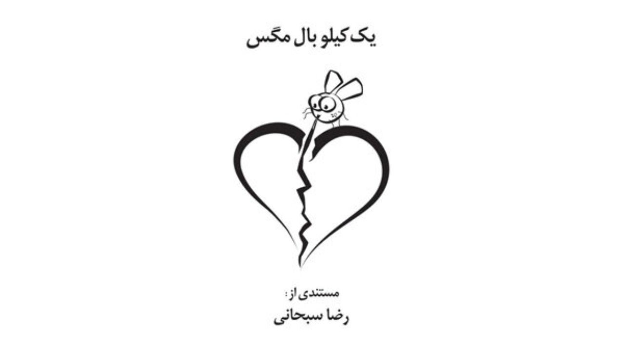 «یک کیلو بال مگس» در جشنواره «ترمه» آلمان نمایش داده می‌شود