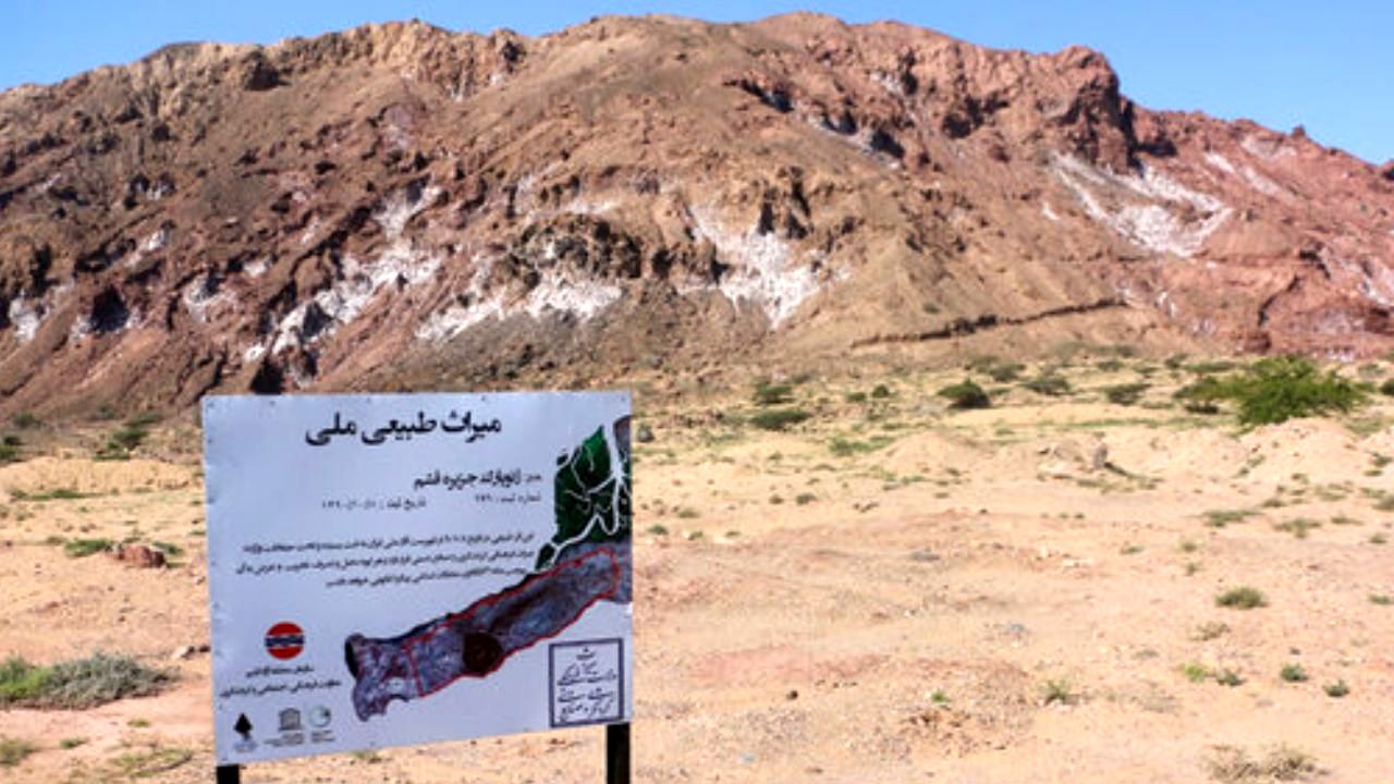 مزارع پرورش میگو در قشم بررسی مجدد می‌شوند/ سفر کارشناسان وزارت میراث فرهنگی به قشم